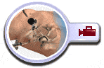 Hip Arthroscopy