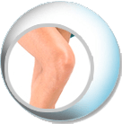Sports/Joint Replacement